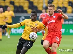 平博官网-多特蒙德水平